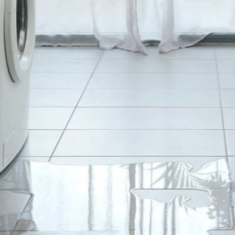 Appliance Leak Cleanup in Wildwood, TX