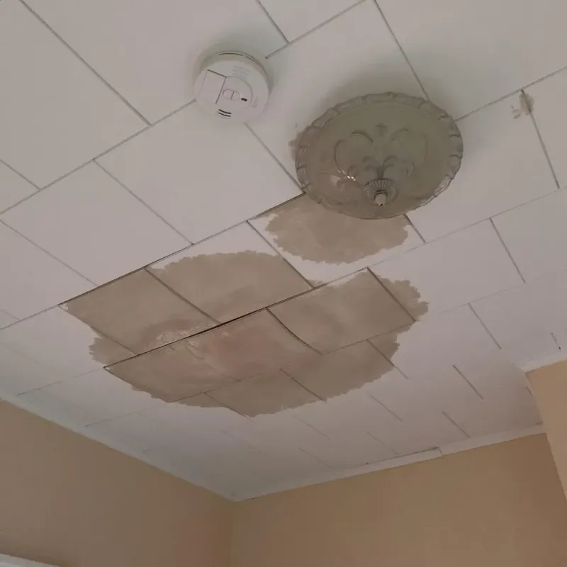 Ceiling Water Damage Repair in Wildwood, TX