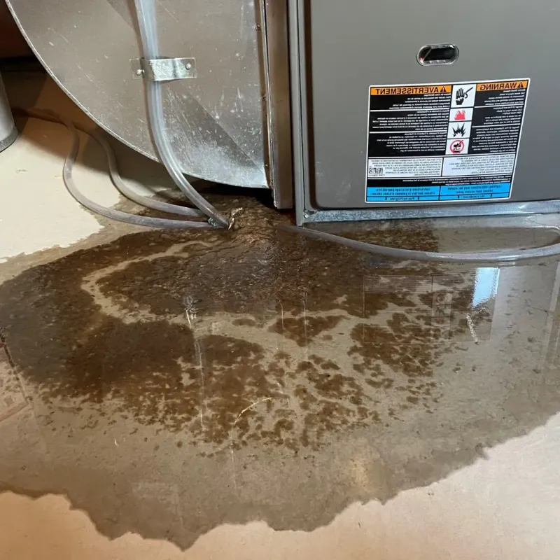 Pipe Burst and Leak Restoration in Wildwood, TX