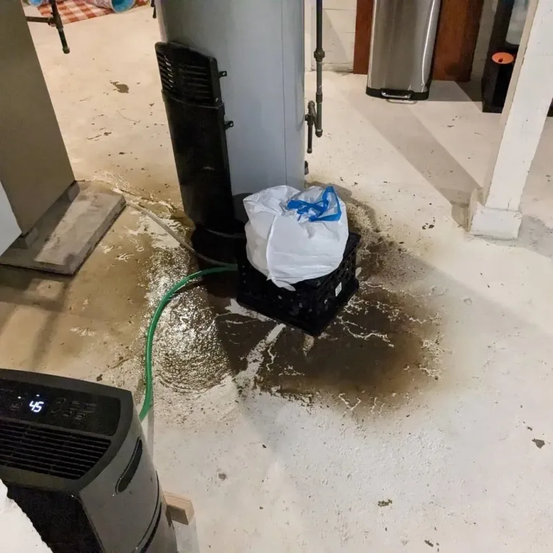 Sewage Backup Cleanup Service in Wildwood, TX